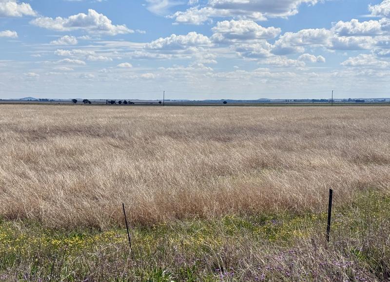 0 Bedroom Property for Sale in Koppies Free State